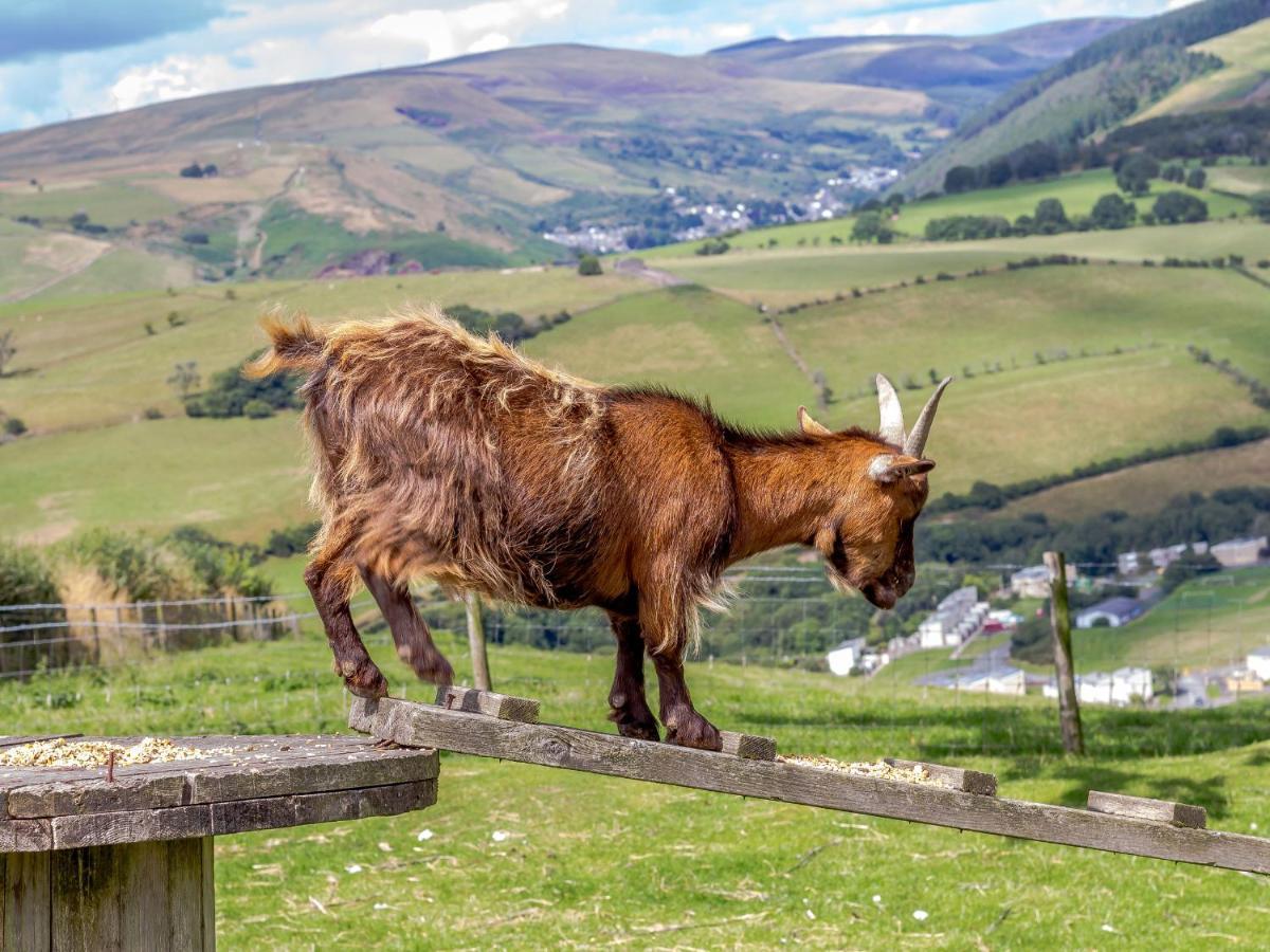 Caner Bach Lodge ブリジェンド エクステリア 写真